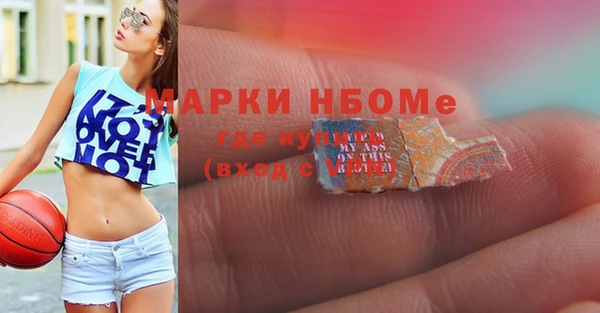 твердый Арсеньев
