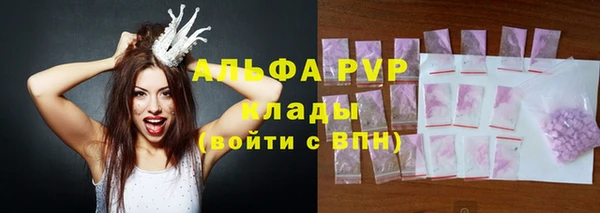 твердый Арсеньев