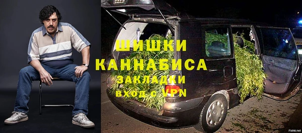 твердый Арсеньев