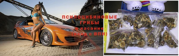 твердый Арсеньев