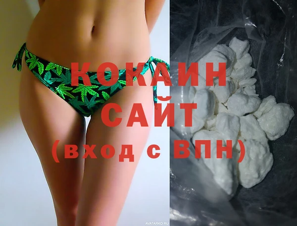 твердый Арсеньев